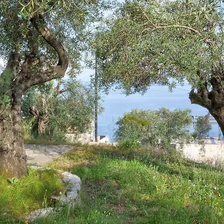 Evo's Sea View * Glyfa